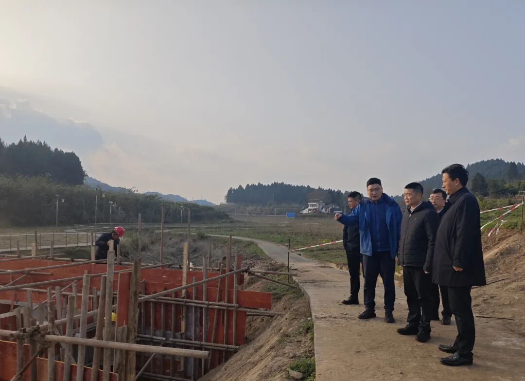 集团党委书记、董事长游勇率队赴南充市嘉陵区调研驻村帮扶工作